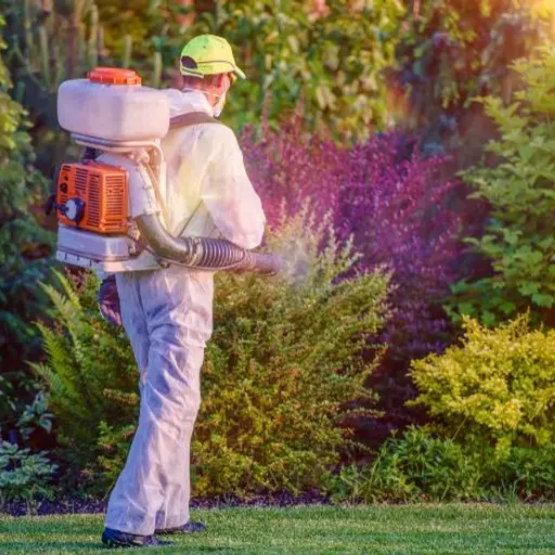 Herbal Pest Control​ Services
