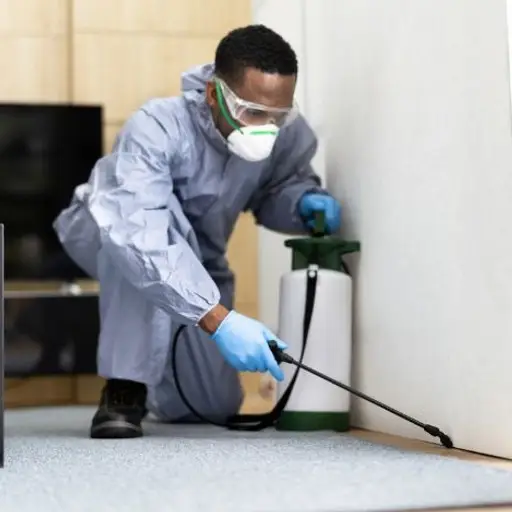 Residential Pest Control Services